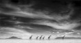/album/fotogaleria-nick-brandt/nick-brandt-giraffes-under-swirling-clouds-amboseli-2007-jpg/
